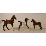 Beswick brown small stretched foal: 815 together with large Shire foal 951 and small throughbred