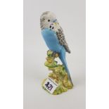 Beswick Blue Budgie: 1216.