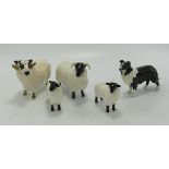 Beswick Black Faced Ram 301, Sheep 165 Lamb 1828 X 2 & collie Dog(5)