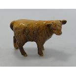 Beswick Highland Calf 1827D: