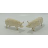 Beswick Boar 1453A & Sow 1452A(2)