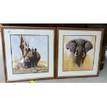 Two David Shepherd framed prints: Rhino's in the wild and one of an Elephant (2)