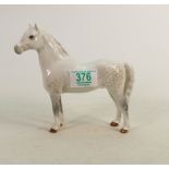 Beswick grey Welsh Mountain Pony :1643