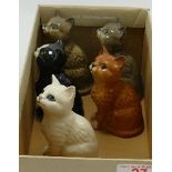 Beswick Persian Kittens: to include black, ginger, white and grey (5)