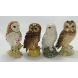 Beswick Owl whisky flasks: to include Tawny owl 2781, Barn Owl 2809, Short eared Owl 2825 and