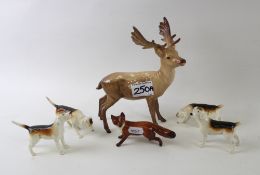 Beswick stag (standing)(re-stuck antler) with small standing fox: together with 4 foxhounds (2