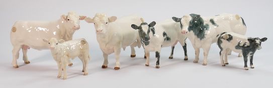 Boxed Border Fine Art Cattle to include: Charolais Bull A4598, Cow A4599 & Calf A4602, Belgium