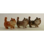 Beswick Persian cats: 1898 to include ginger, grey matt and gloss (3)