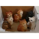 Beswick seated kittens: 1436 to include black matt, ginger gloss x 2, ginger matt, white and grey