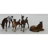 Beswick brown foals: to include grazing foal, foal 997, arab foal and one other (4)