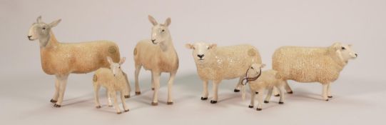 Boxed Border Fine Art Sheep to include: Texel Ewe A5231, Tup A5230 & Lamb A5232, plus Blue Faced