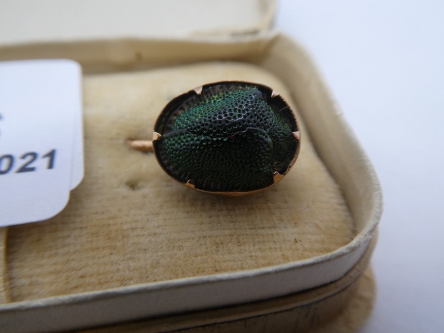 Antique stick pin set with a real Scarab beetle, mounted in possibly 14ct gold mount in antique Lloy - Image 6 of 6