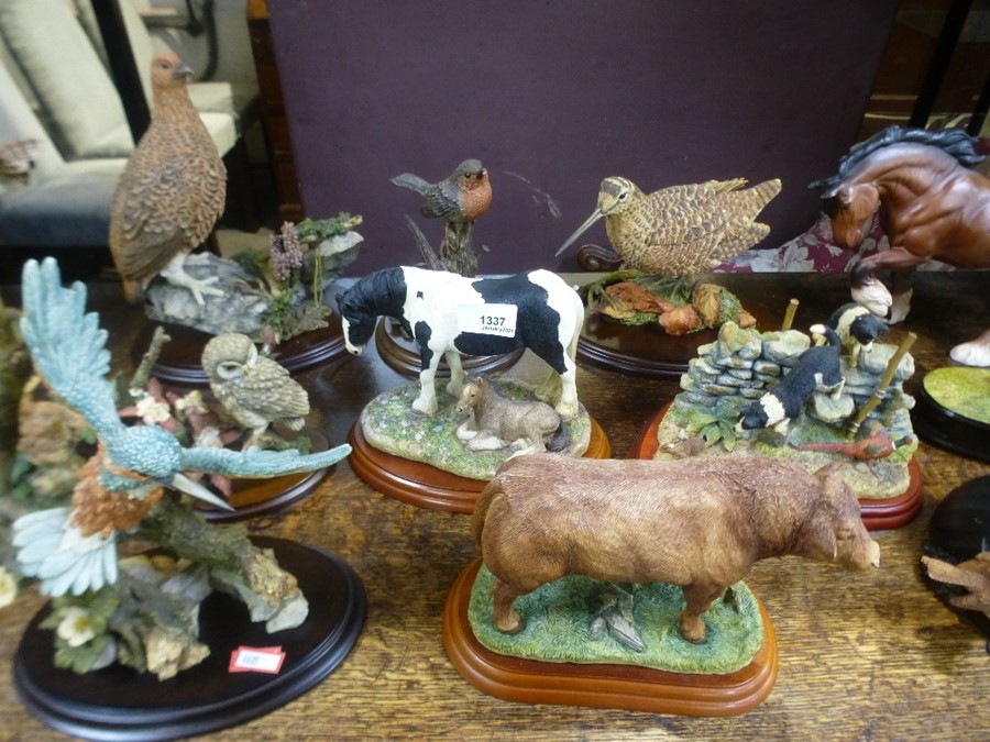 Large quantity of mostly Border Fine Art model animals to incl. Kingfisher, owl, horses etc and a ma - Image 2 of 4