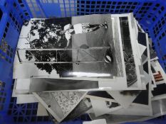 Crate of black and white photographs and a family bible