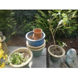 A selection of glazed green and blue garden planters and a fish fountain