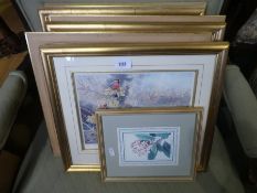 6 framed and glazed limited edition pencil signed prints of birds