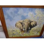 David Painter; two oil paintings of elephants - one unframed