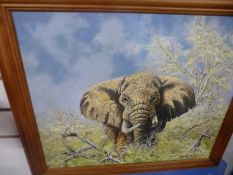 David Painter; two oil paintings of elephants - one unframed