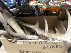 A box containing antlers and horns