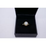 Pretty 9ct yellow gold dress ring with oval white opal, size N, 1.8g, marked 375