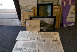 A small quantity of 19th century engravings an old etchings by Thomas Daniell and other pictures