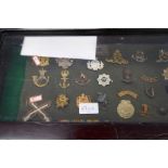 A small glazed display case containing military badges and similar.