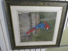 Terence Balm, a watercolour of Macaw seated on a barrel 48x53.5cm