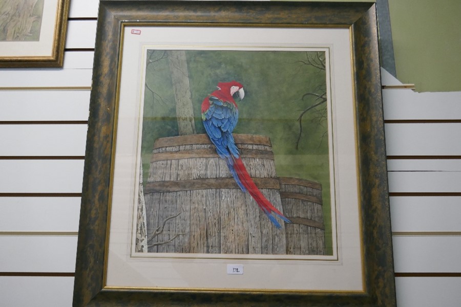 Terence Balm, a watercolour of Macaw seated on a barrel 48x53.5cm - Image 3 of 4