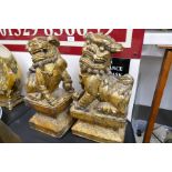 A pair of carved wood gilded Dogs of Fo, 46cm