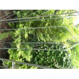 2 leaf folding garden trellis