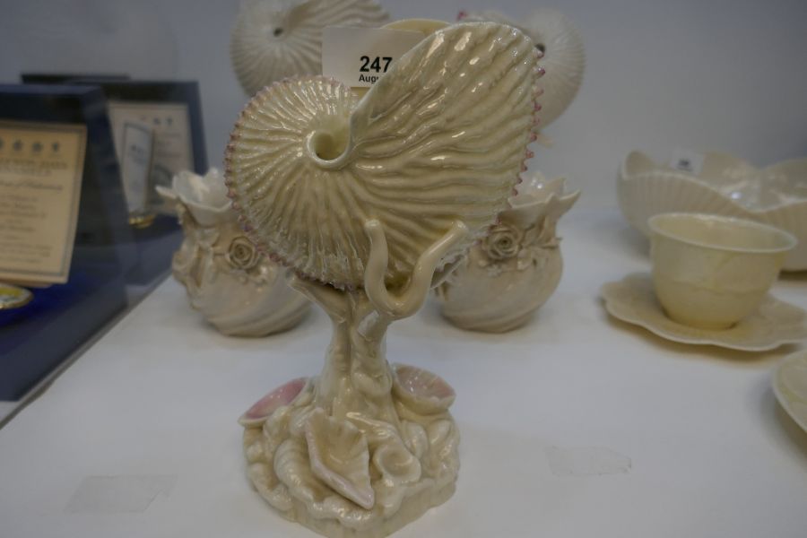 A Royal Worcester nautilus shell centrepiece 18cm