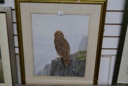 Terence Blam, a watercolour of Golden Eagle on rocks and a pencil signed print limited edition of an