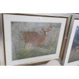 Terence BLAM; a watercolour of Roe Deer and one other of Fawn