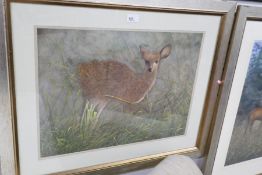 Terence BLAM; a watercolour of Roe Deer and one other of Fawn