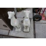 A pair of greyhound stone effect dogs