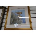 Terence Blam; a watercolour of Peregrine Falcon and one other of Long-eared Owl