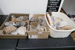 A quantity of minerals, fossils and similar