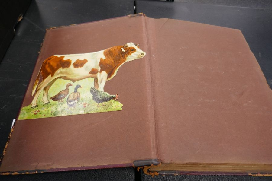A Victorian scrap book album - Image 2 of 8