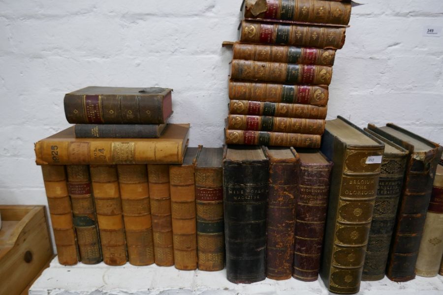 A quantity of antique leather bound books, mainly 19th century and others - Image 2 of 6