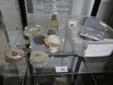 A small quantity of fossils, minerals and similar
