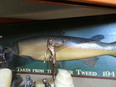 Vintage carved wooden fish on a wood frame entitled 'taken from the river tweed'.