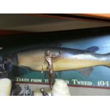 Vintage carved wooden fish on a wood frame entitled 'taken from the river tweed'.