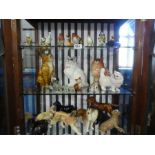 Three shelves of animals, birds and sundry. Including three Beswick cats
