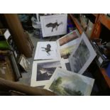 A large quantity of prints, shipping, animals, birds, transport and similar