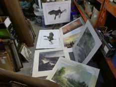 A large quantity of prints, shipping, animals, birds, transport and similar