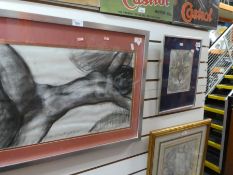 Framed charcoal and pencil drawing of a female nude dated 1977, plus a picture of a domestic feline