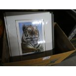 Box containing signed prints celebrating 30 years of Maxwell.