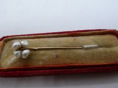 Pretty yellow metal stick pin with head of natural pearls, unmarked, in fitted case