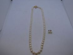 String of pearls with 9ct yellow gold clasp marked 375 and pair similar simulated pearl earrings on