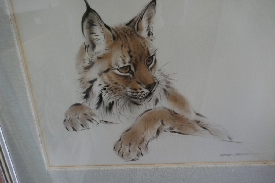 A drawing depicting a wild cat signed Ralph Thompson 1913-2009 - Image 2 of 2
